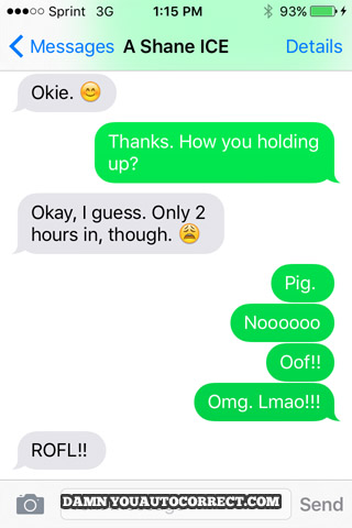 funny auto-correct texts - Adding Insult to Insomnia