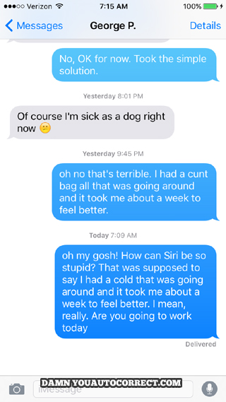 funny auto-correct texts - It’s in the Bag!