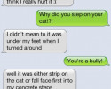 funny auto-correct texts - Cat Stripping