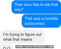 funny auto-correct texts - For the Birds!