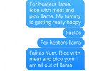 funny auto-correct texts - Dont Eat the Llama!